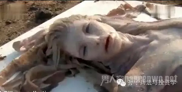 澳洲海滩惊现美人鱼:人身鱼尾有血有肉!