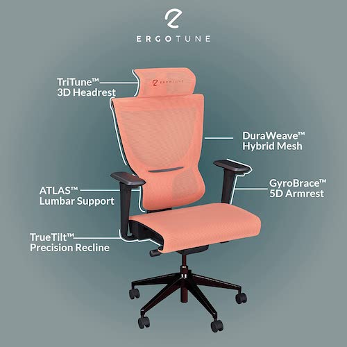 ErgoTune 高级人体工学办公座椅（可调节靠背、5D扶手、腰托、头枕）- 6折优惠！