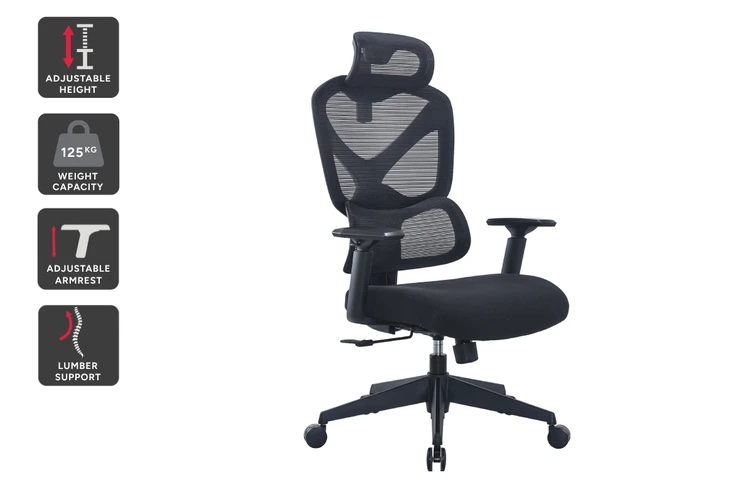 Ergolux Z14 人体工学高靠背办公椅 Mesh网格电脑椅 – 4折优惠！