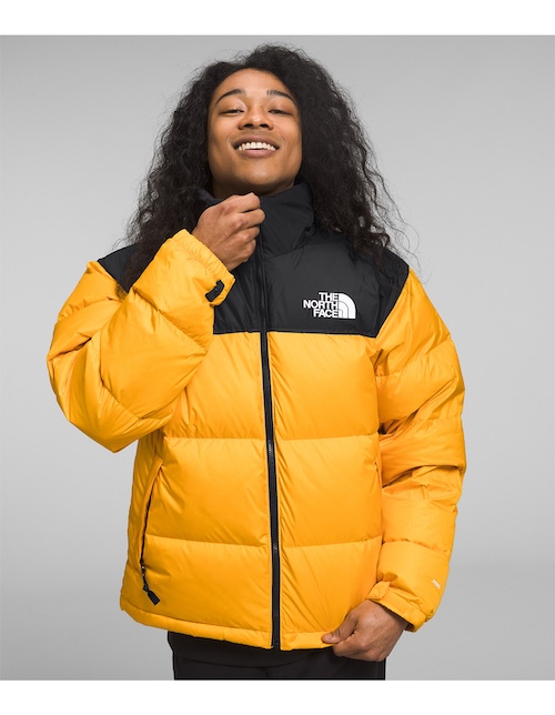 David jones the north face online